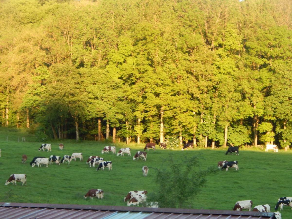 Bed and Breakfast A La Source Du Saolon Culmont Экстерьер фото